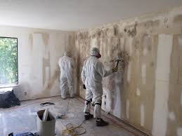 Best Mold Odor Removal Services  in Worthington, MN